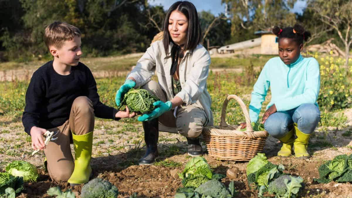 jardineria en familia